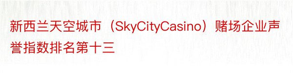 新西兰天空城市（SkyCityCasino）赌场企业声誉指数排名第十三